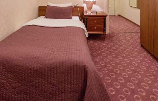 Single room (standard) Budapest Hotel