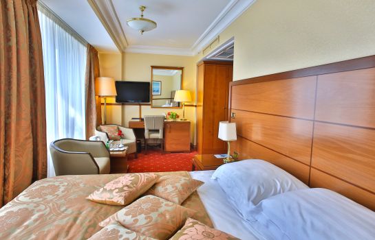 Single room (standard) Golden Ring Hotel