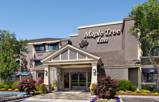 Außenansicht Maple Tree Inn