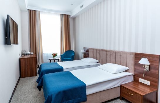 Double room (superior) Guyot Business Hotel
