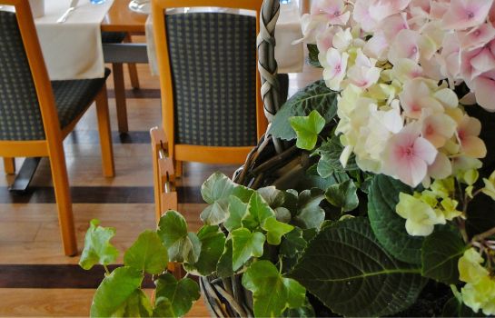 hotel baren twann hotel info
