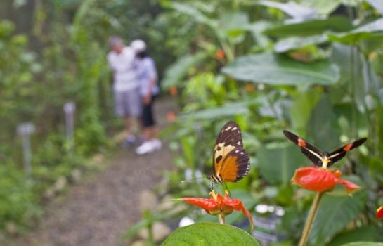 Get Wallpaper Hotel Hotel Gamboa Rainforest Resort En Panama Hotel De For Android