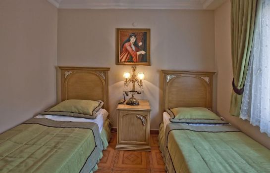 Alzer Hotel Special Class Istanbul Great Prices At Hotel Info