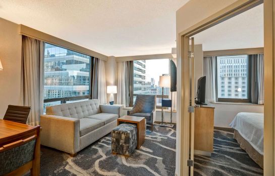 Hotel Homewood Suites By Hilton Chicago Downtown Hotel De