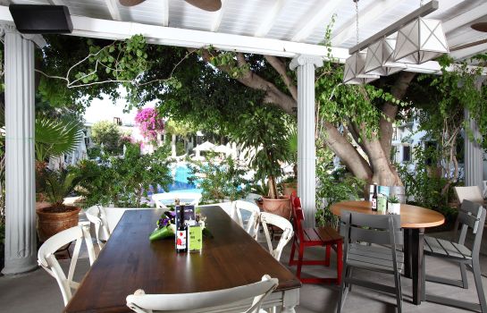 Hotel Marina Vista Bodrum Great Prices At Hotel Info