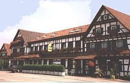Hotel Blume Landgasthof in Lichtenau – HOTEL DE