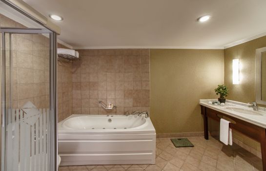 Hotel Kaya Istanbul Fair Convention Ex Ramada Istanbul Great Prices At Hotel Info