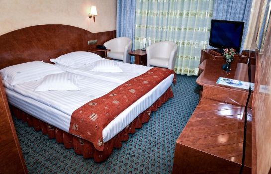Habitación estándar Carpati Hotel Baia Mare