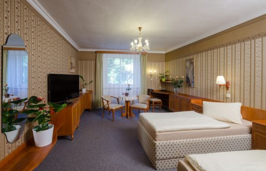 Doppelzimmer Standard Hotel Ostrov Nymburk