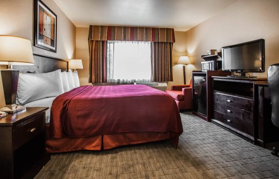 Room Quality Inn and Suites Anaheim at the Pa
