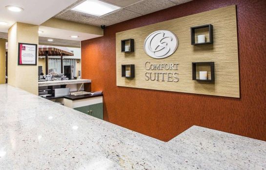 Hotelhalle Comfort Suites Anderson-Clemson