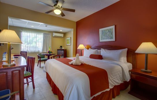 Zimmer Best Western Plus Belize Biltmore Plaza