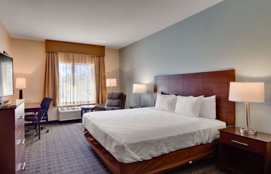 Zimmer Best Western Plus Gateway Inn & Suites