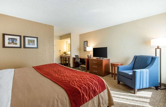 Zimmer Comfort Inn and Suites Airport