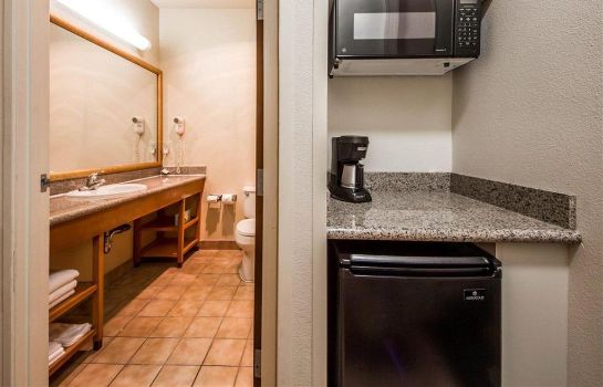 Zimmer Comfort Inn and Suites Oakland