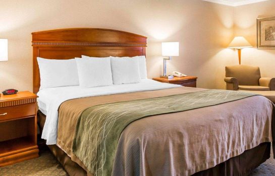 Comfort Inn Anaheim Resort Great Prices At Hotel Info