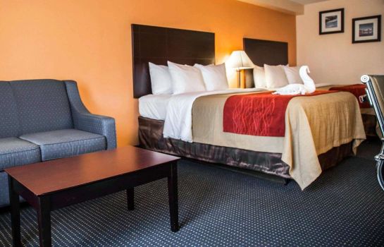 Comfort Inn International Dr Orlando Great Prices At Hotel Info
