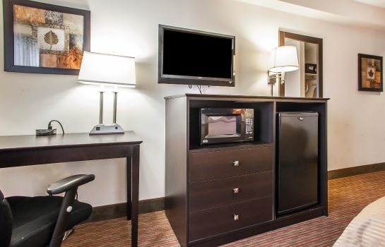 Room Quality Inn and Suites Mason City