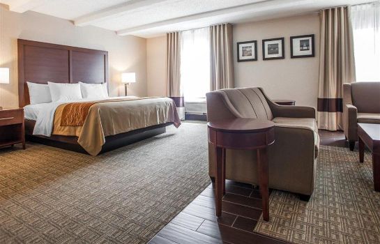 Comfort Inn St Louis Westport Great Prices At Hotel Info