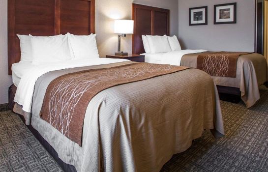 Comfort Inn St Louis Westport Great Prices At Hotel Info
