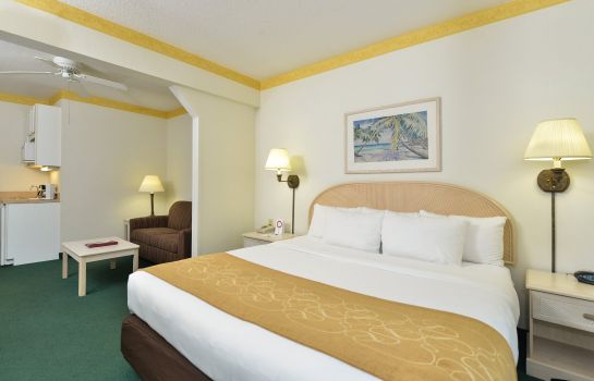 Hotel Comfort Suites Maingate East Kissimmee Great Prices At