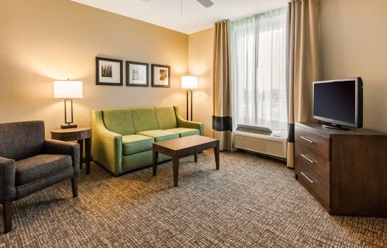 Hotel Comfort Suites Maingate East Kissimmee Great Prices At