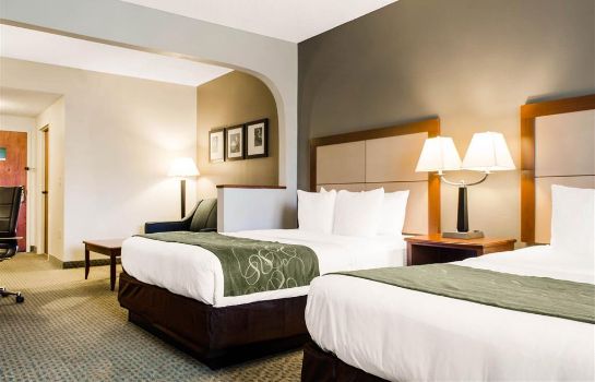 Hotel Comfort Suites Tallahassee Downtown Hotel De