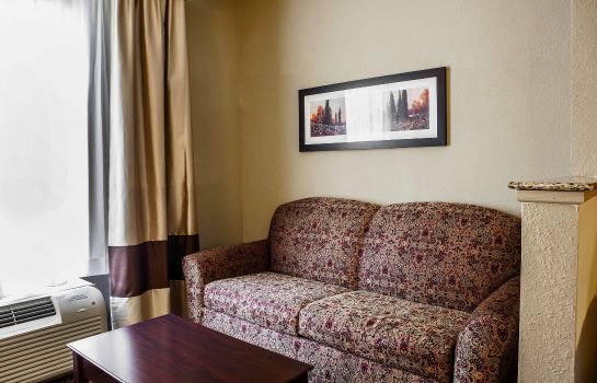 Zimmer Comfort Suites near Route 66