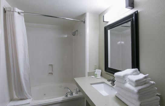 Suite Comfort Suites Austin NW Lakeline