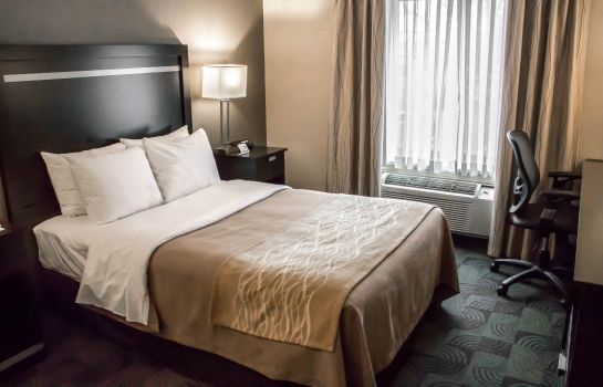 Habitación Holiday Inn Express & Suites ALBANY AIRPORT - WOLF ROAD