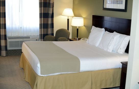 Suite Holiday Inn Express & Suites ALAMOGORDO