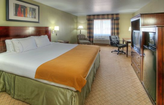Zimmer Holiday Inn Express & Suites ALAMOGORDO