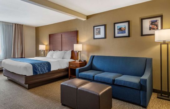 Zimmer Comfort Inn and Suites Texas Hill Countr