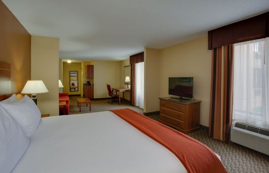 Suite Holiday Inn Express & Suites COLUMBIA-I-20 @ CLEMSON RD