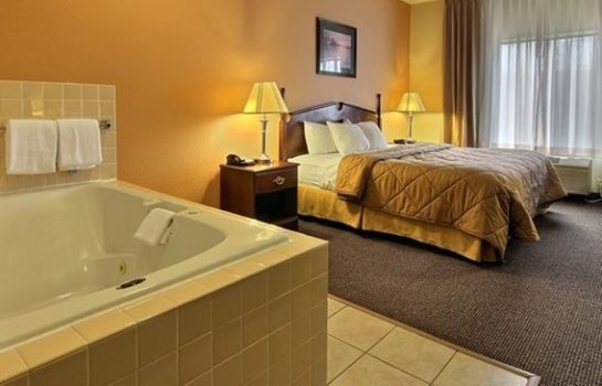 Suite Quality Inn and Suites Niles