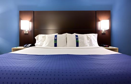 Zimmer Holiday Inn & Suites ATLANTA AIRPORT-NORTH