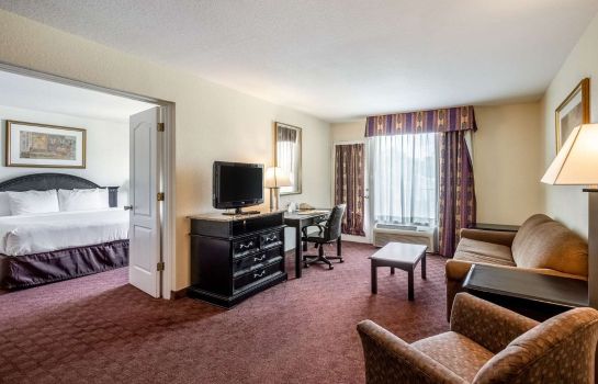 Suite Clarion Inn and Suites Clearwater Centra