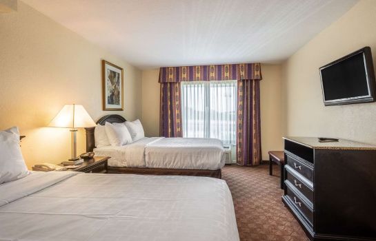 Suite Clarion Inn and Suites Central Clearwate