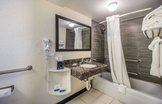 Habitación Clarion Inn and Suites Clearwater Centra