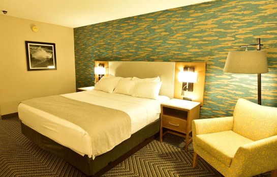 Chambre Radisson Hotel Niagara Falls Grand Island