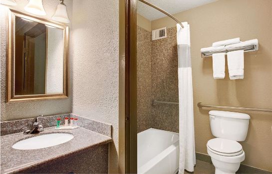 Chambre Ramada by Wyndham Houston Intercontinental Airport South