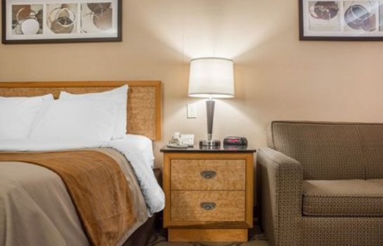 Comfort Inn Waterloo Great Prices At Hotel Info