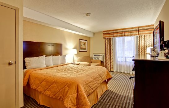 Comfort Inn East Scarborough Toronto Great Prices At Hotel Info