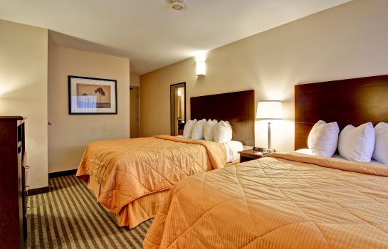 Comfort Inn East Scarborough Toronto Great Prices At Hotel Info