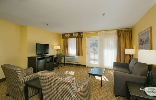Suite Best Western Durango Inn & Suites