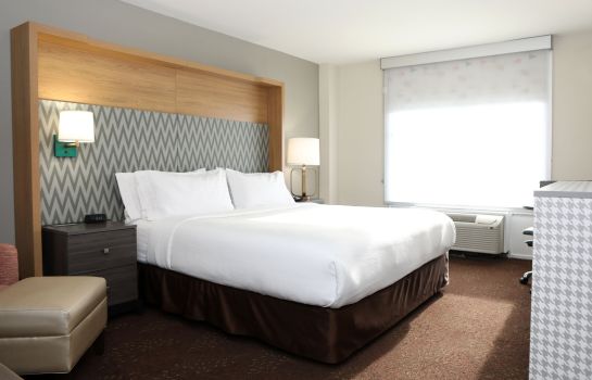 Zimmer Holiday Inn CHICAGO O'HARE AREA
