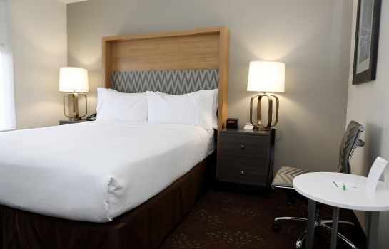 Zimmer Holiday Inn CHICAGO O'HARE AREA