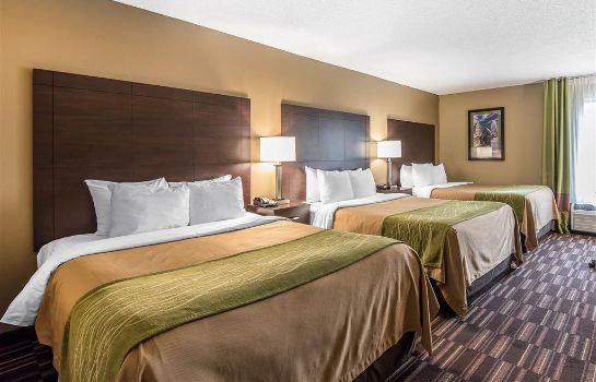 Zimmer Comfort Inn and Suites Kansas City - Nor