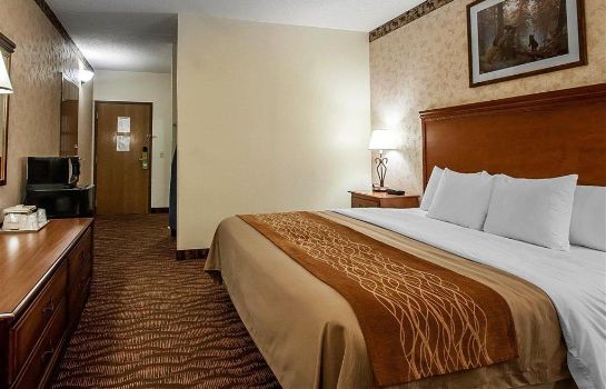 Zimmer Comfort Inn and Suites Branson Meadows