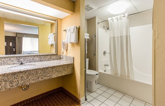 Zimmer Quality Inn and Suites Corinth West